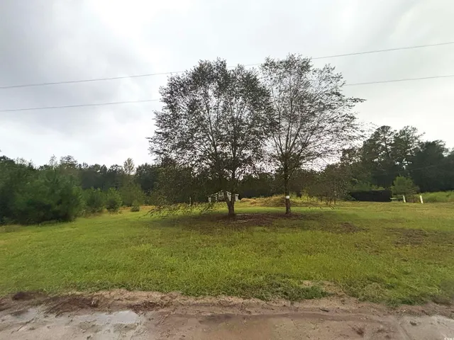$30,000 | 7023 New Bridge Road, Nichols, SC 29581
