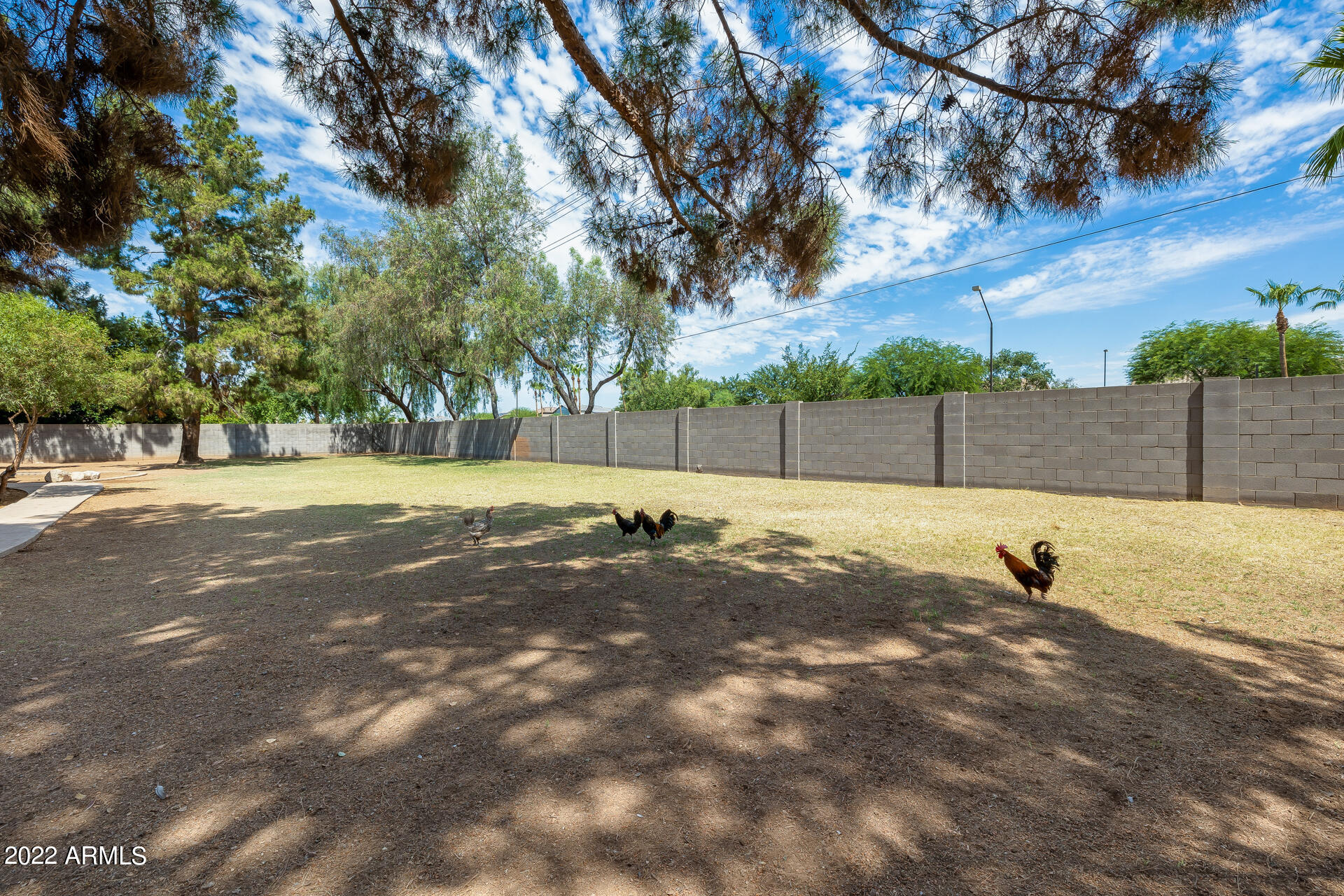 13729 East Ray Road Gilbert, AZ 85295 - Photo 49 of 50 Photo by Chase Capture