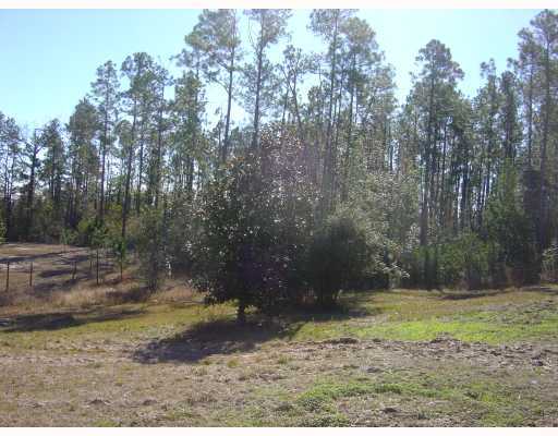 20507 B J Pittman Road Saucier, MS 39574 - Photo 5 of 6 Additional Photo
