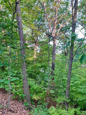 $14,500 | 288 Sequoyan Court, Canton, MO 63435