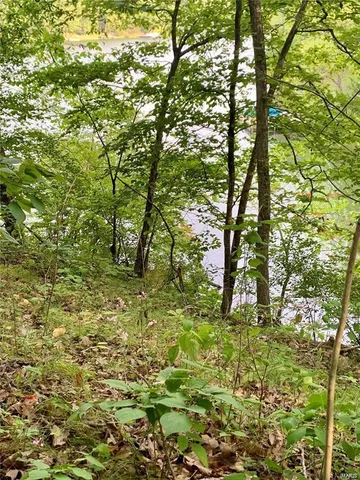 $14,500 | 288 Sequoyan Court, Canton, MO 63435