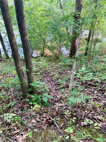 $14,500 | 288 Sequoyan Court, Canton, MO 63435