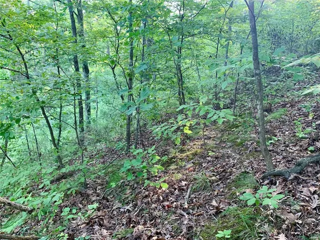 $14,500 | 288 Sequoyan Court, Canton, MO 63435