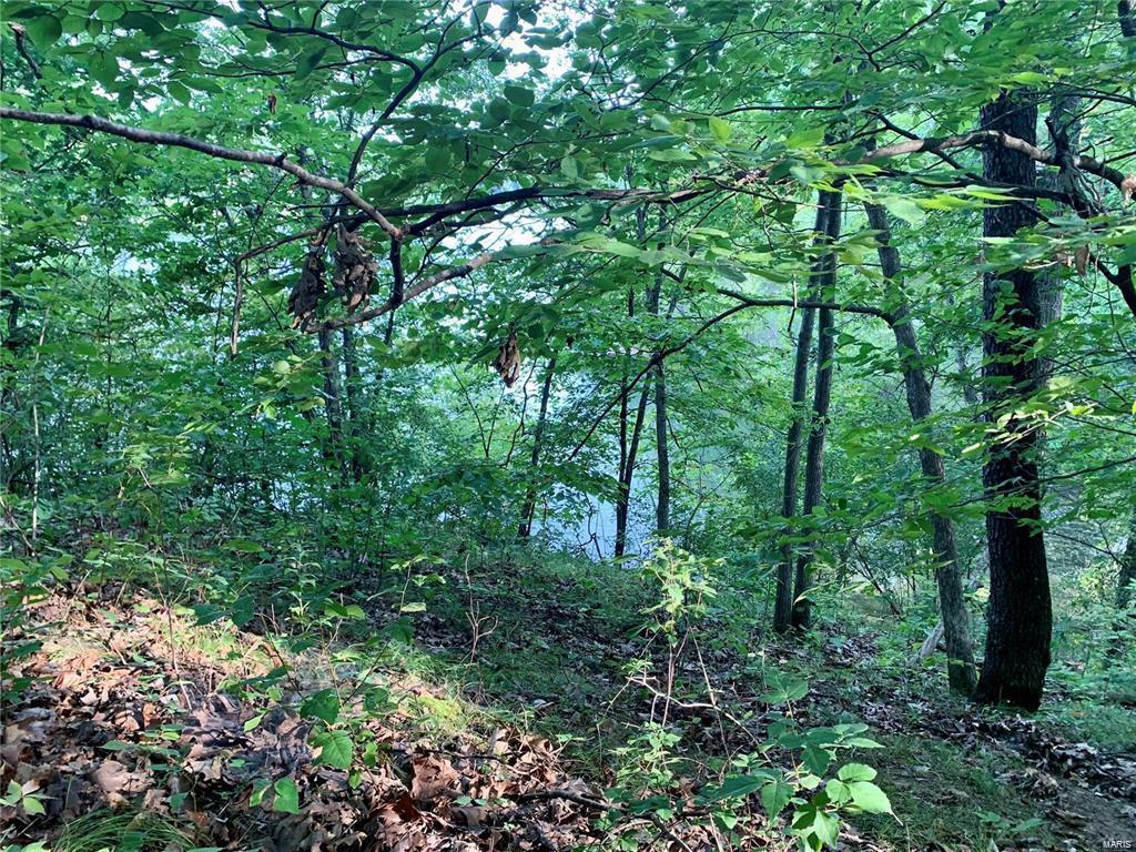 288 Sequoyan Court Canton, MO 63435 - Photo 6 of 10