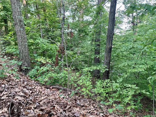 $14,500 | 288 Sequoyan Court, Canton, MO 63435