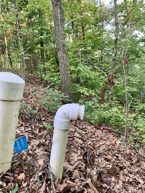 288 Sequoyan Court Canton, MO 63435 - Photo 8 of 10