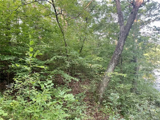 $14,500 | 288 Sequoyan Court, Canton, MO 63435