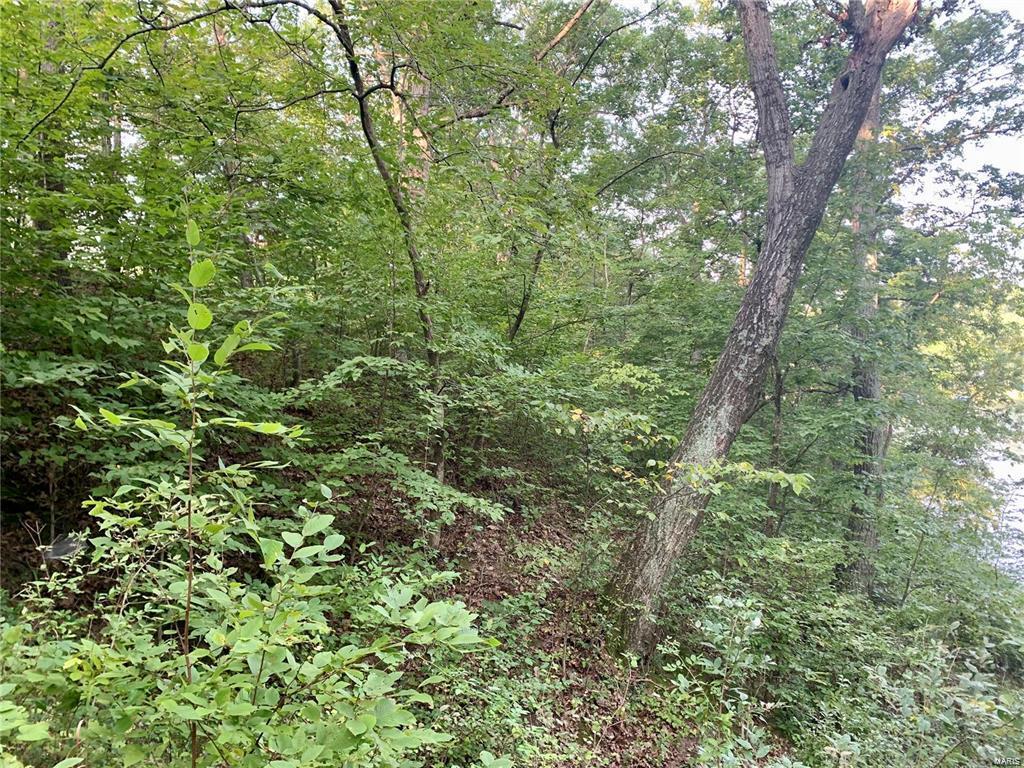 288 Sequoyan Court Canton, MO 63435 - Photo 9 of 10