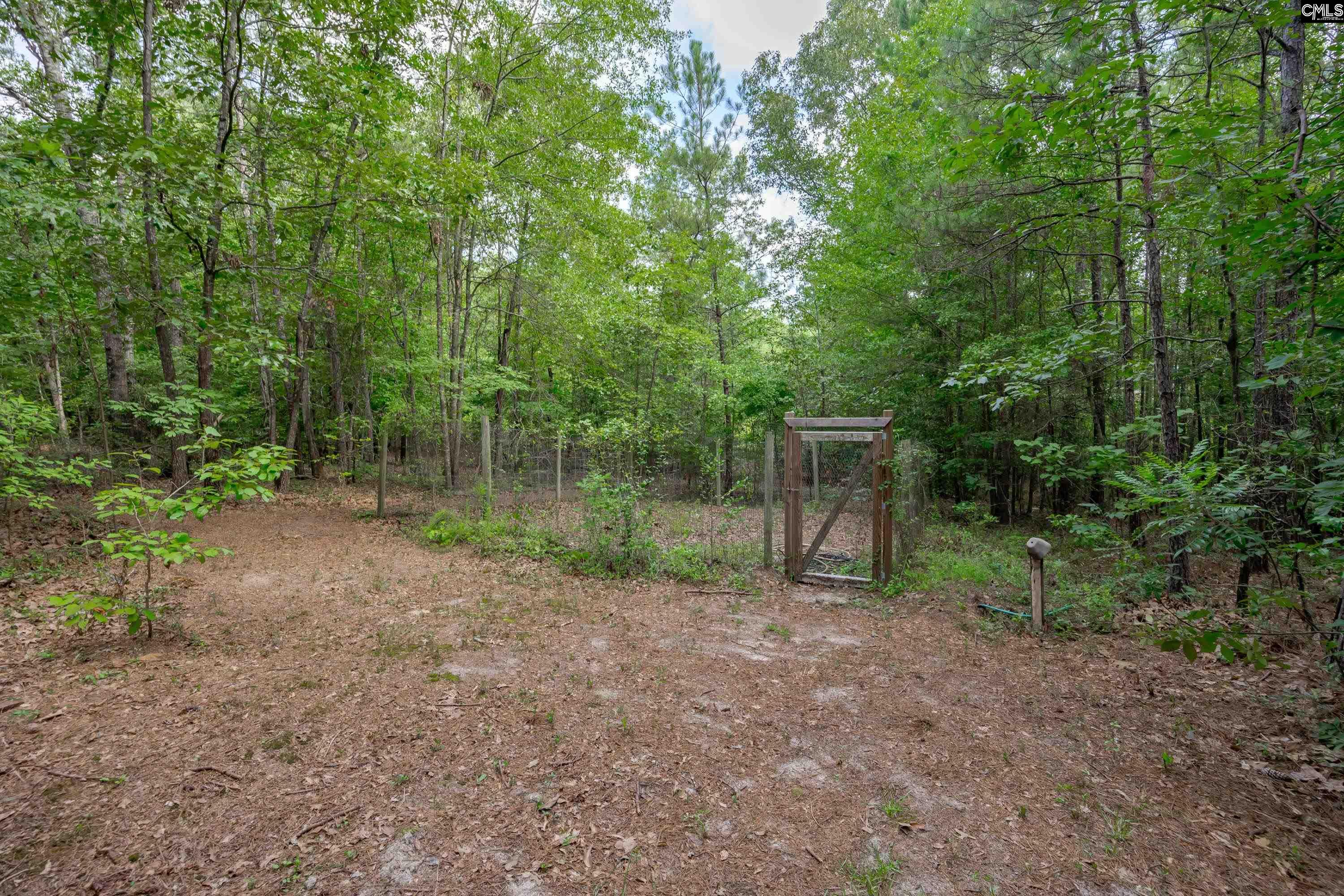 2032 Ridgeway Road Lugoff, SC 29078 - Photo 54 of 57 a view of a yard with a trees