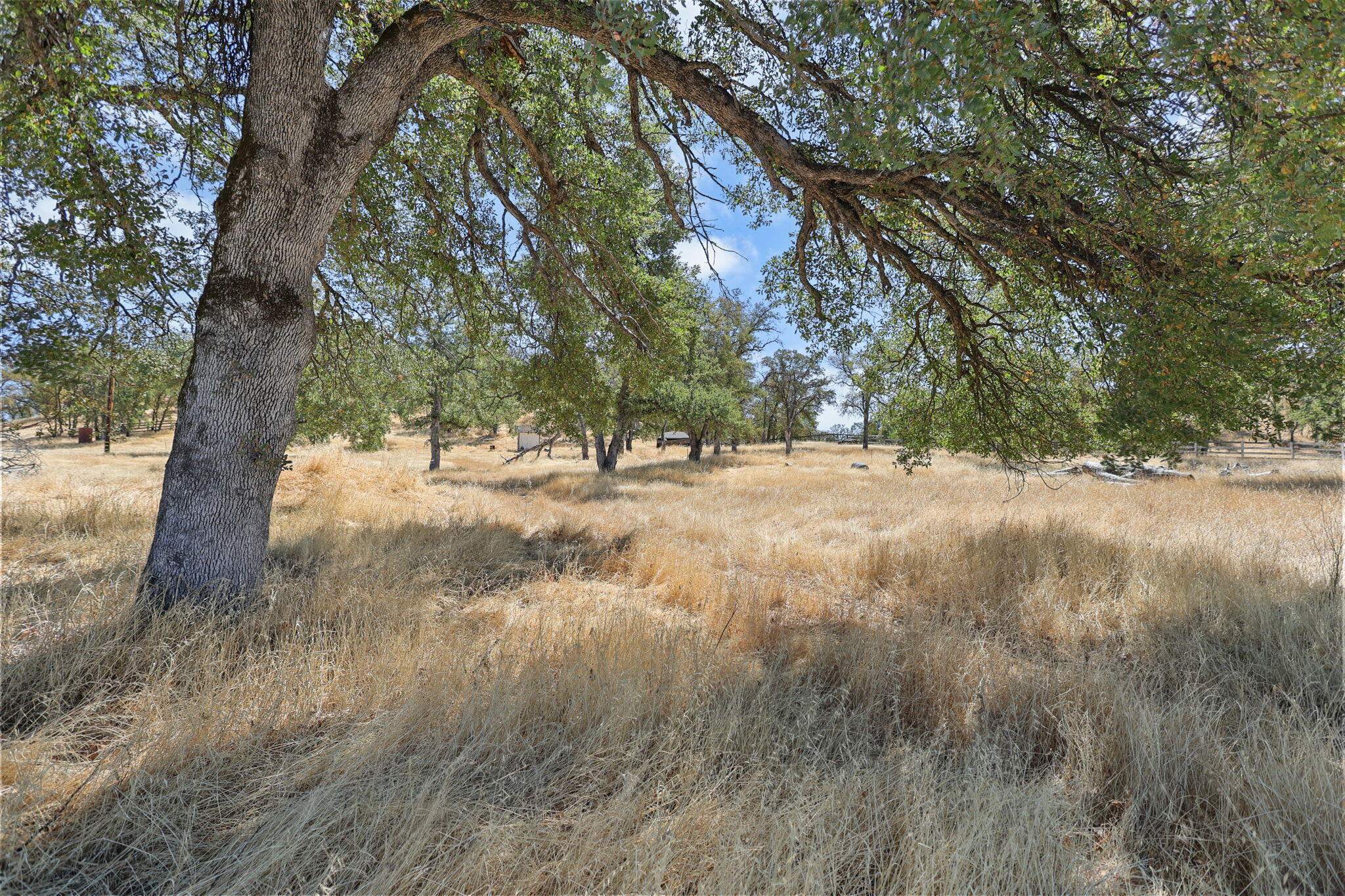 9027 Silver Bridge Road Palo Cedro, CA 96073 - Photo 9 of 104 Apx 8 acres