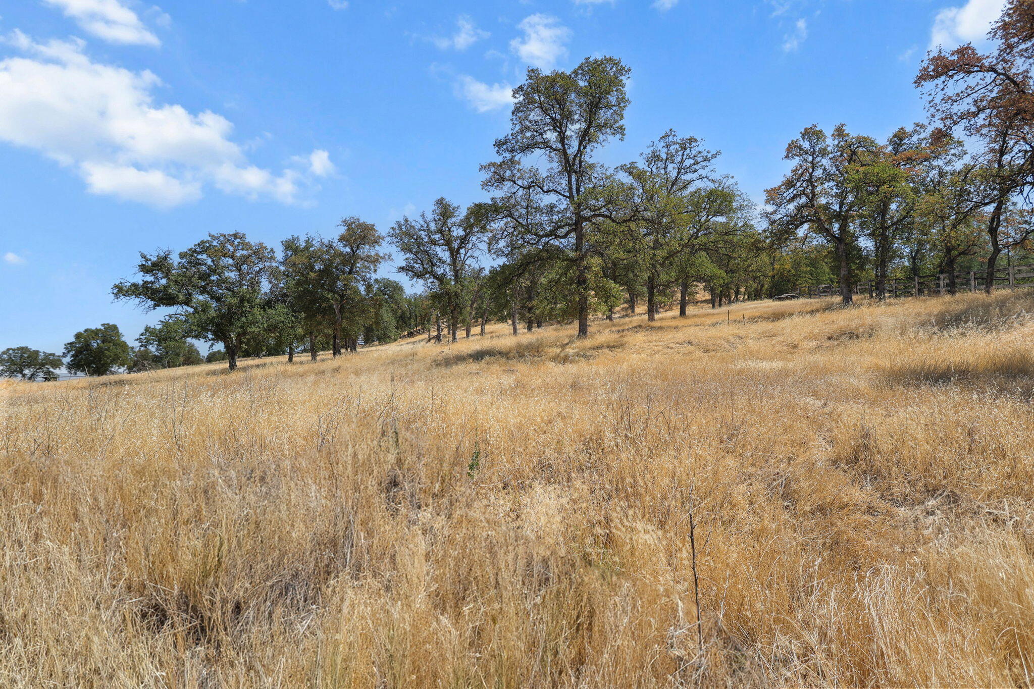 9027 Silver Bridge Road Palo Cedro, CA 96073 - Photo 10 of 104 Usable land