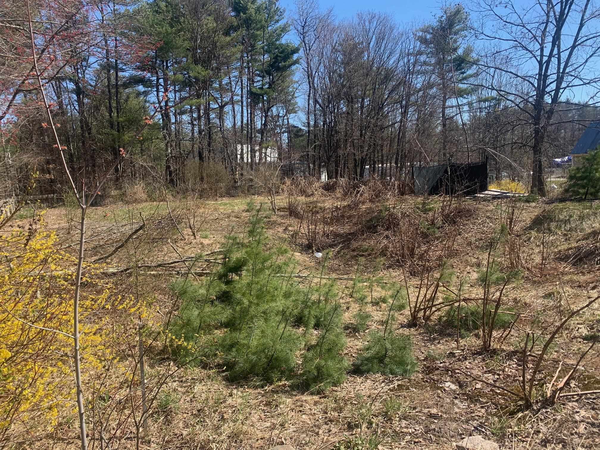 0 East Main Street, Unit 91 Center Conway, NH 03813 - Photo 4 of 8