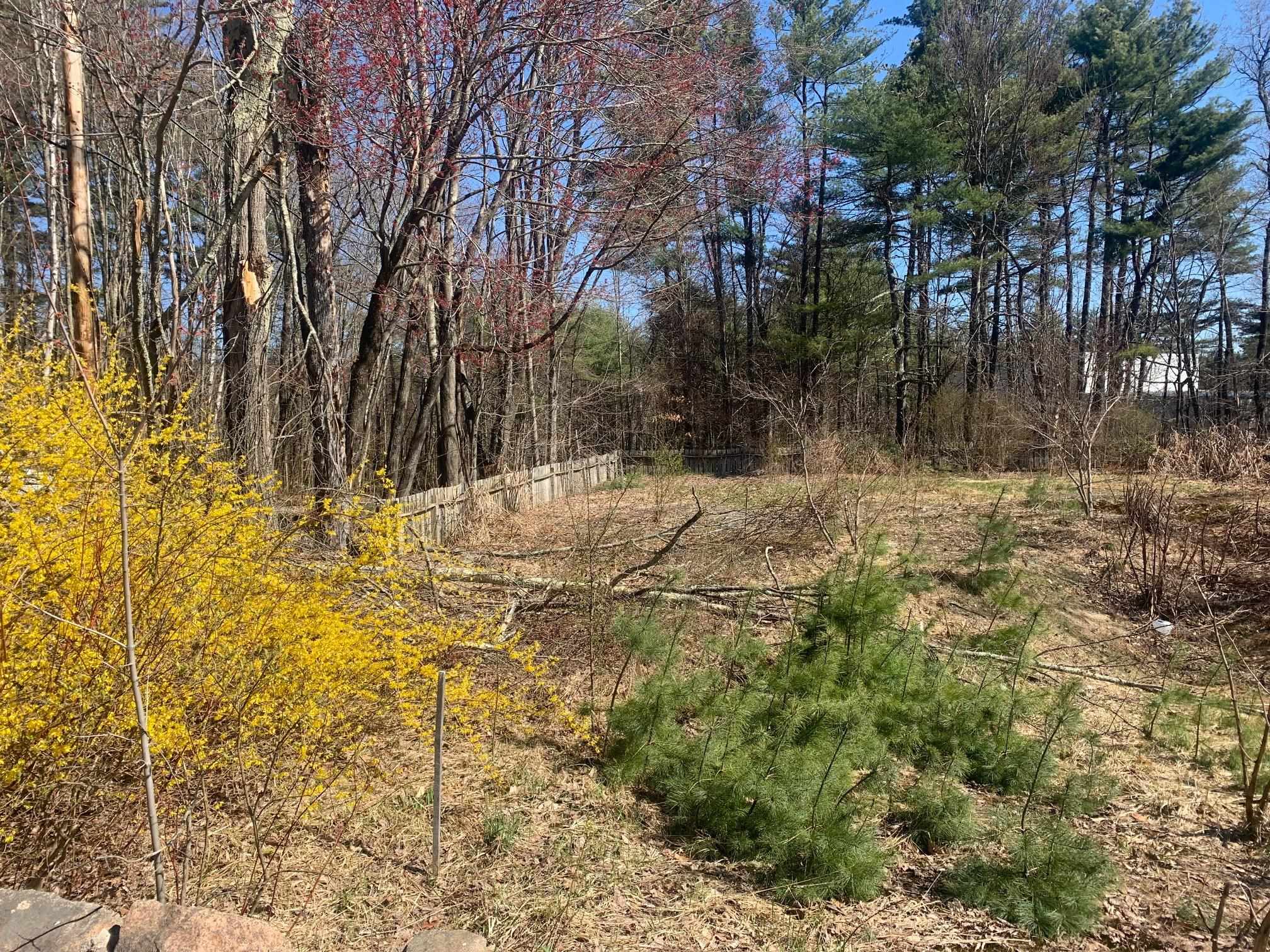 0 East Main Street, Unit 91 Center Conway, NH 03813 - Photo 6 of 8