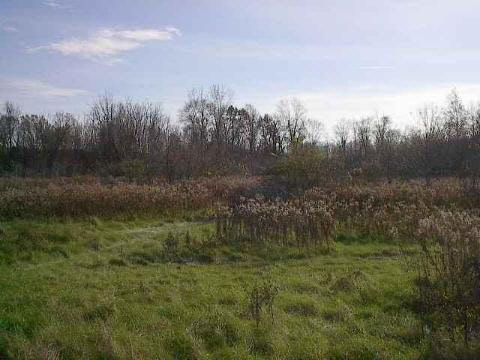 0 Snell Road Milan, MI 48160 - Photo 1 of 7 20021519.JPG