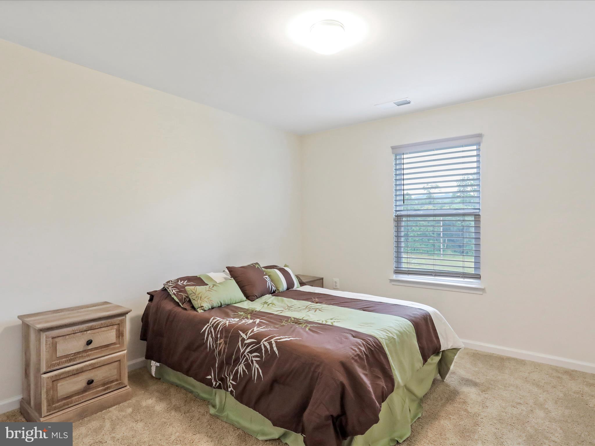 208 Rappahannock Run Falling Waters, WV 25419 - Photo 18 of 44 a bedroom with a bed and a window