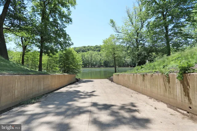 a view of a park with slide trees and a wooden fence