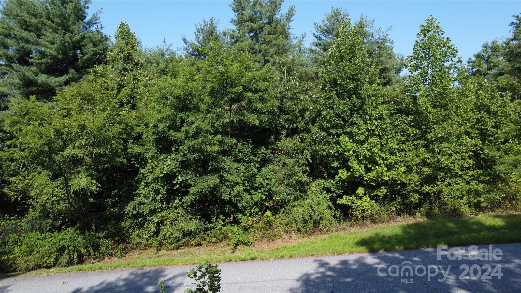 0 Tomahawk Ridge Drive Lenoir, NC 28645 - Photo 11 of 13 a view of a garden with a tree