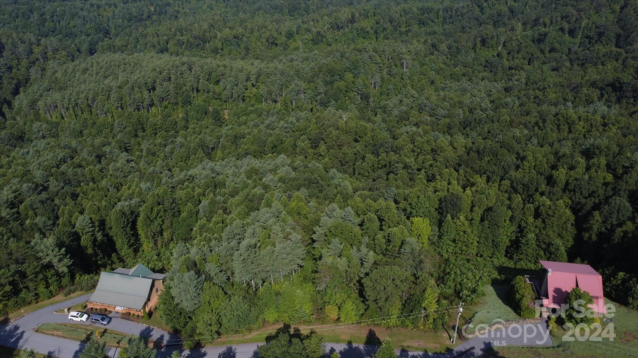 0 Tomahawk Ridge Drive Lenoir, NC 28645 - Photo 4 of 13 an outdoor space with lots of trees