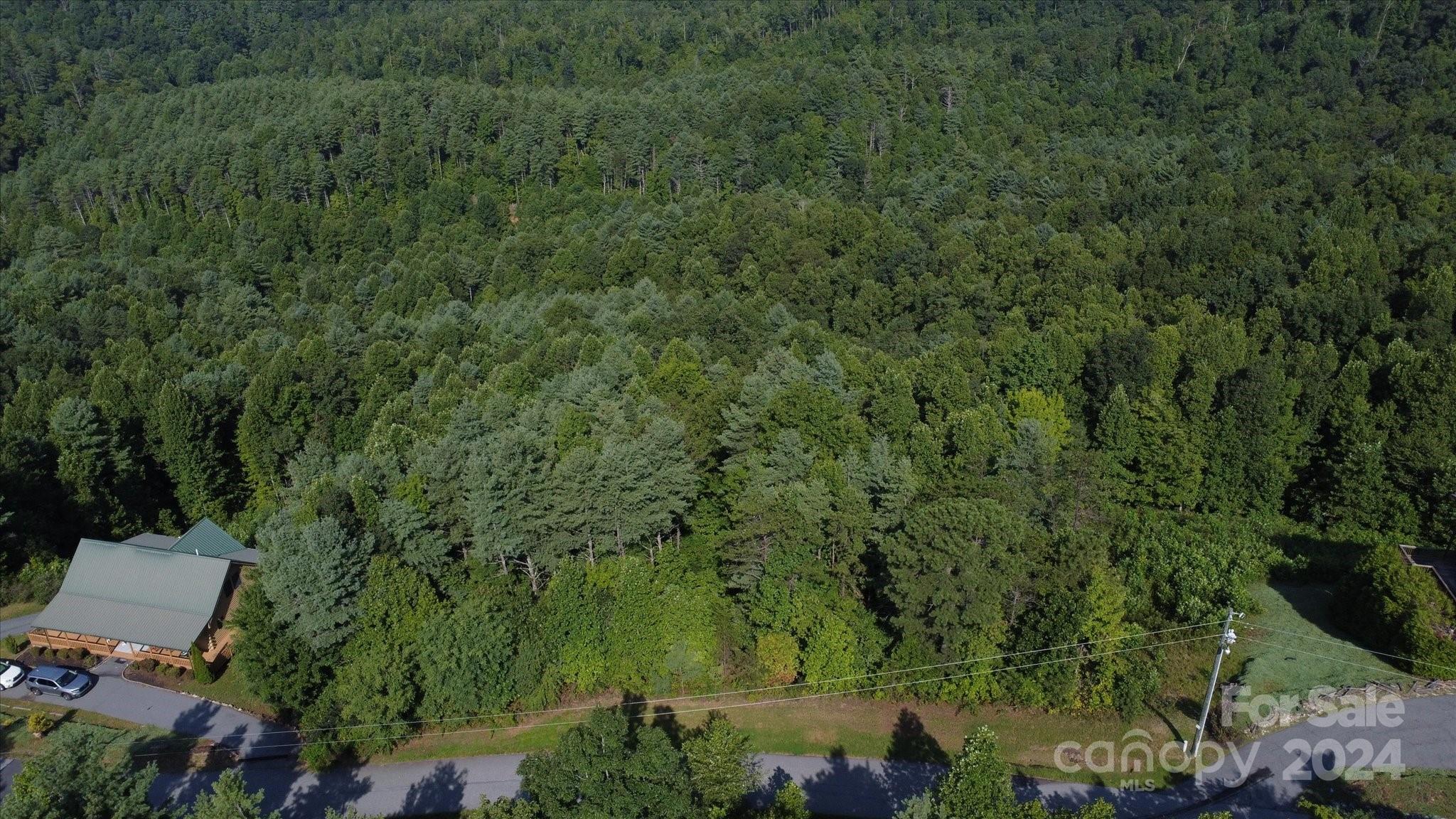 0 Tomahawk Ridge Drive Lenoir, NC 28645 - Photo 9 of 13 an aerial view of a house with a yard