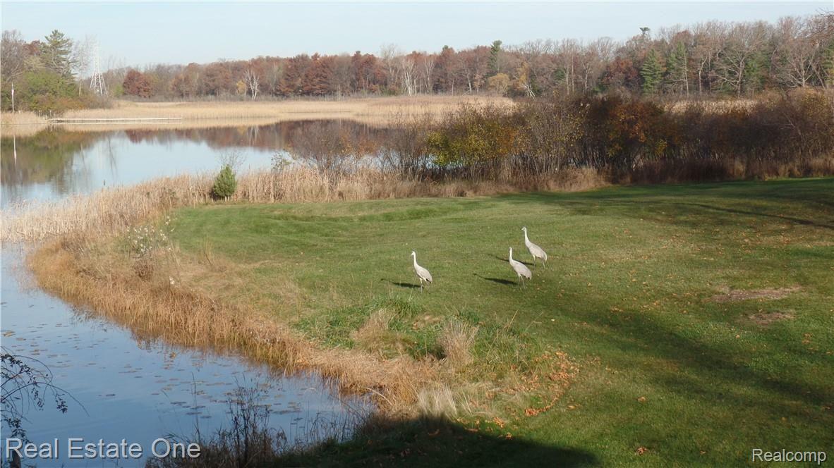 430 East Drahner Road Oxford, MI 48371 - Photo 41 of 43 SAM_2607.JPG