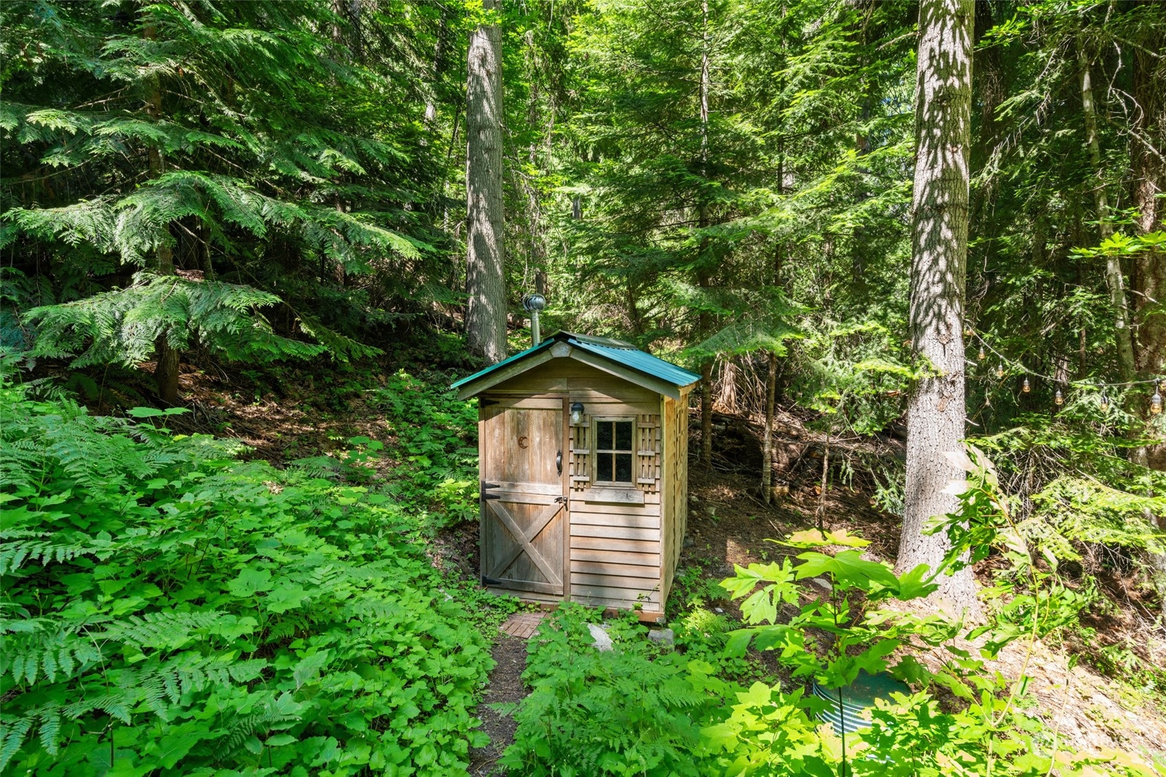 15869 Cedar Brae Road Leavenworth, WA 98826 - Photo 16 of 19 a view of a backyard with plants and large trees