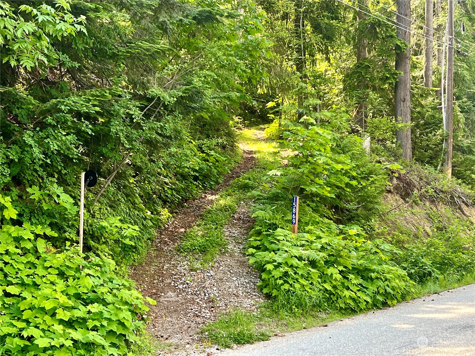 15869 Cedar Brae Road Leavenworth, WA 98826 - Photo 19 of 19 a plant view in yard