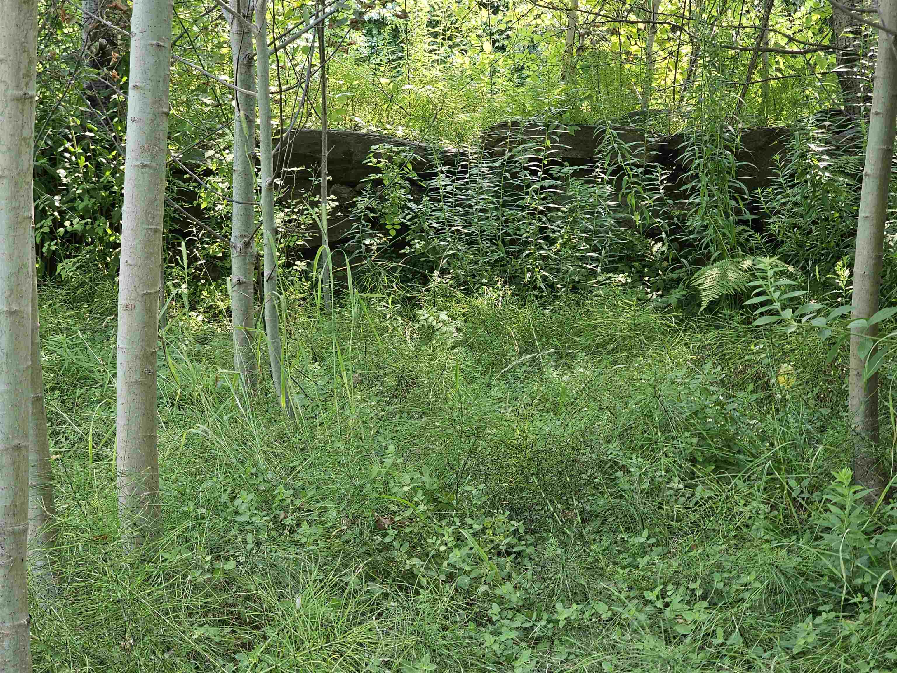 2615 N Road Barnard, VT 05032 - Photo 53 of 60