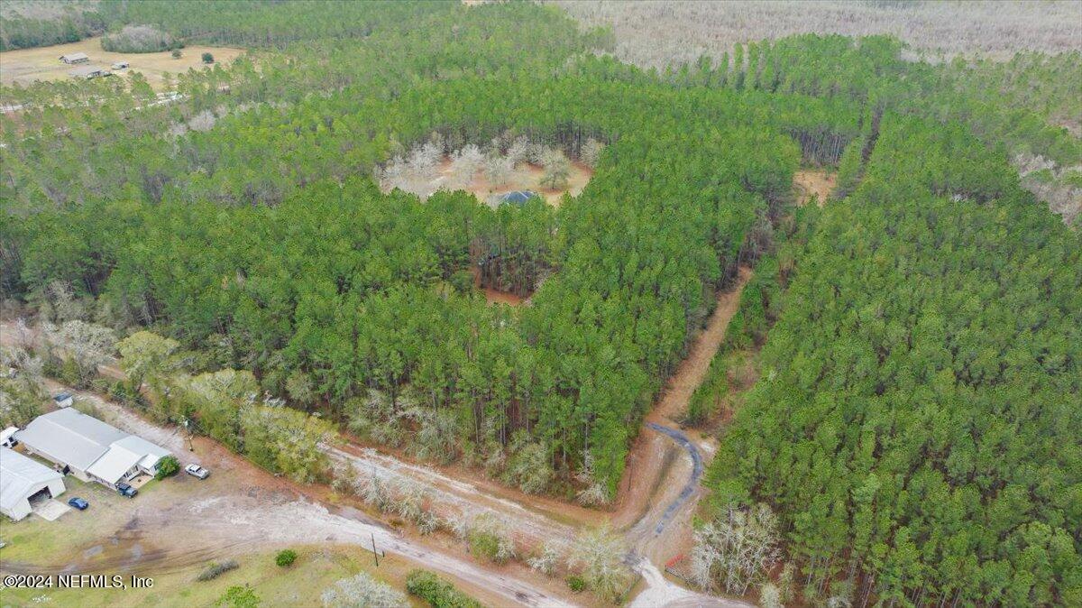 9058 Butcher Road Glen St. Mary, FL 32040 - Photo 40 of 43 a view of a yard with plants