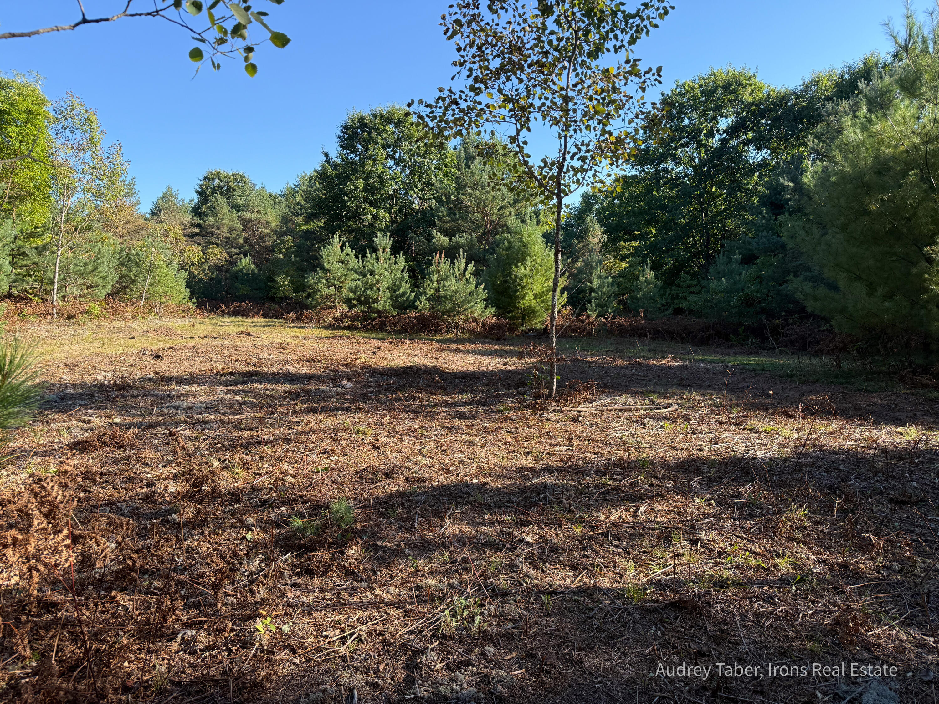 1-5 Clements Road Kaleva, MI 49645 - Photo 31 of 61 ClementsRd-14