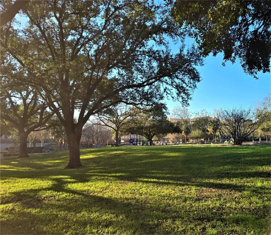 a view of a large trees with a big yard