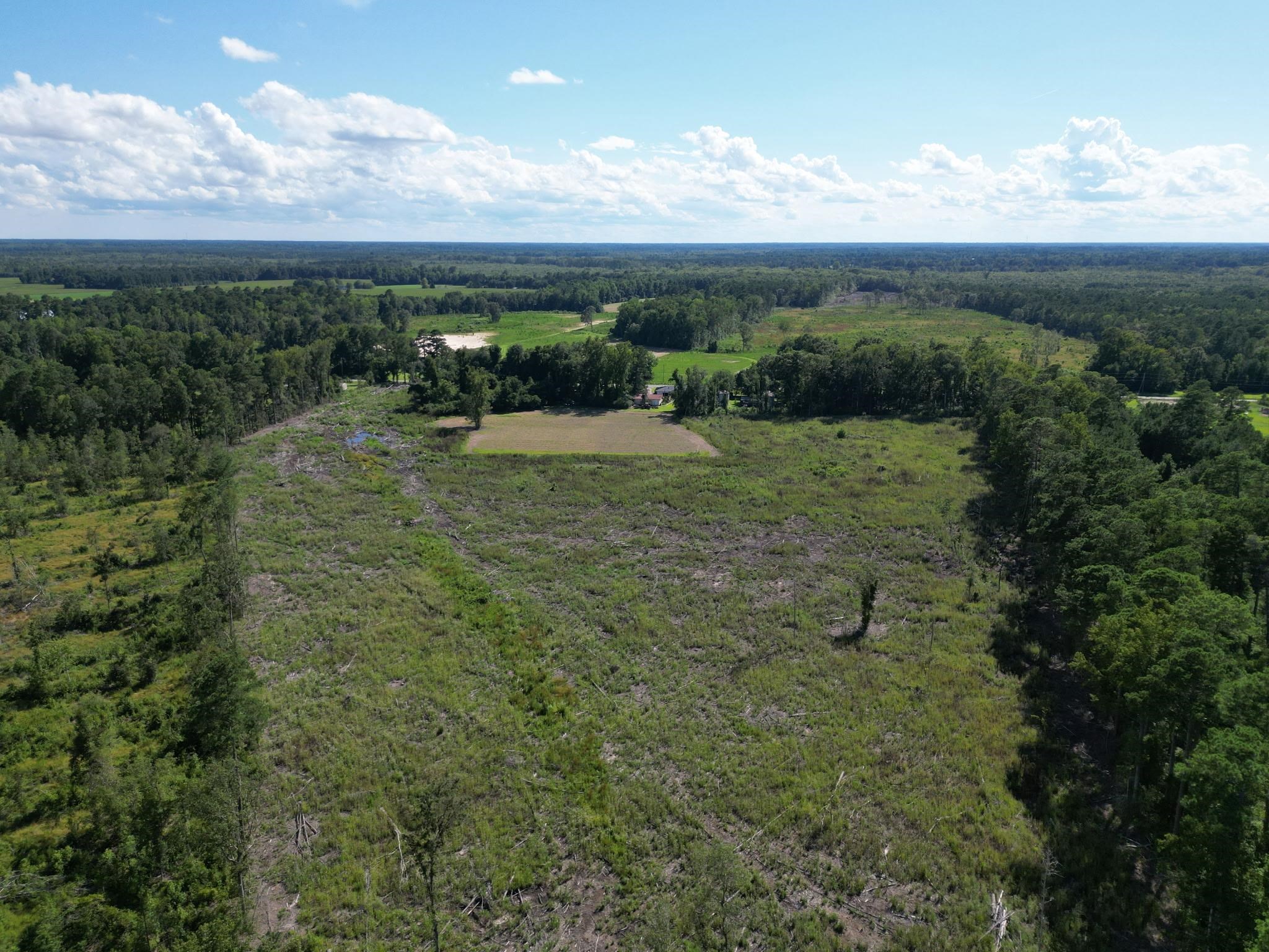 792 Highway 792 Loris, SC 29569 - Photo 13 of 16