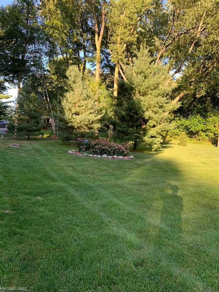 29254 Cotton Road Chesterfield, MI 48047 - Photo 6 of 24