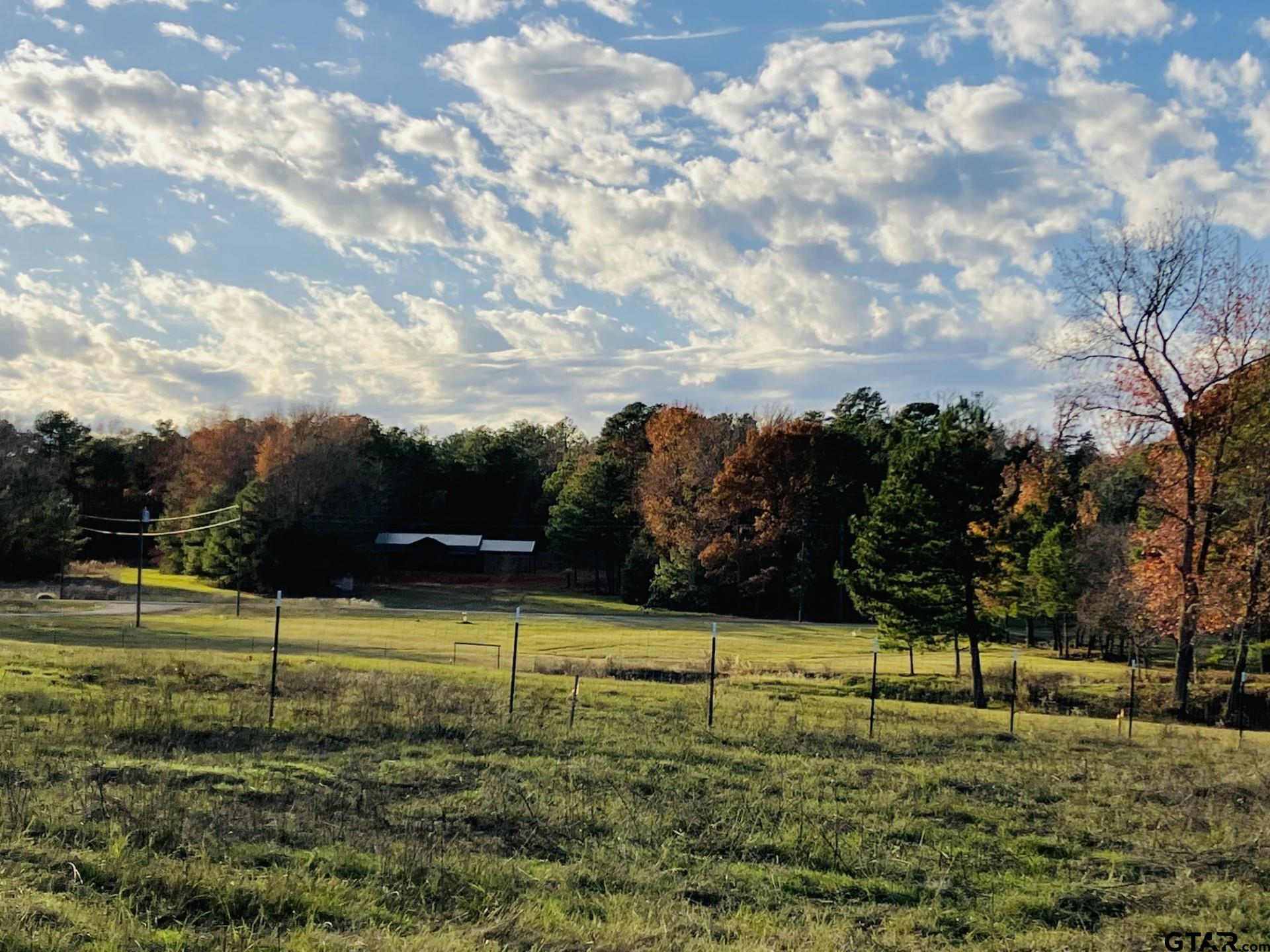 12746 Ridgeway Court Winona, TX 75792 - Photo 6 of 9