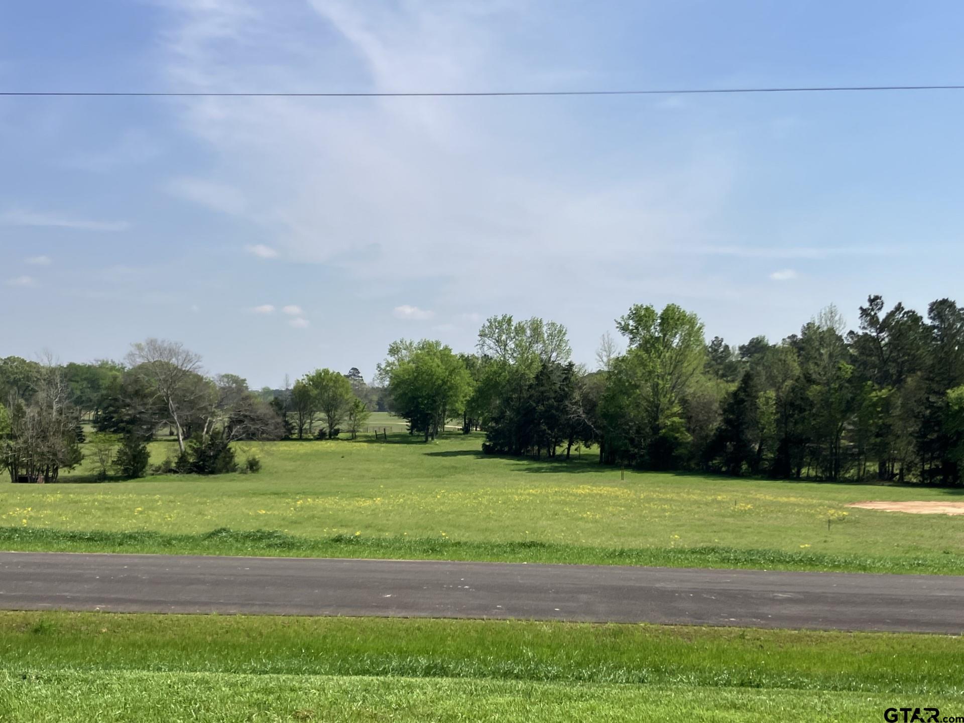 12746 Ridgeway Court Winona, TX 75792 - Photo 7 of 9