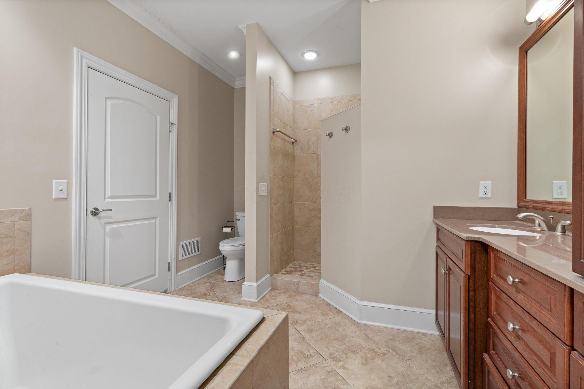 6999 Red Bank Road Galena, OH 43021 - Photo 49 of 72 Lower Level Full Bathroom 3