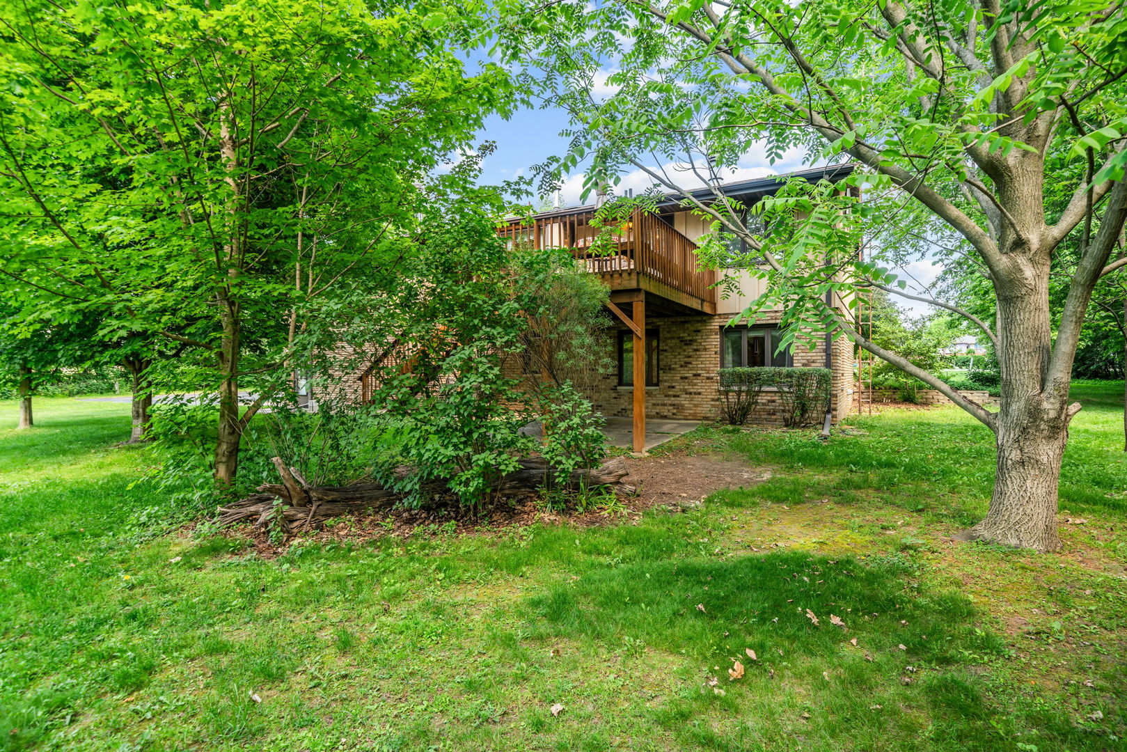5748 South Skare Road Rochelle, IL 61068 - Photo 35 of 45 a backyard of a house with plants and large tree
