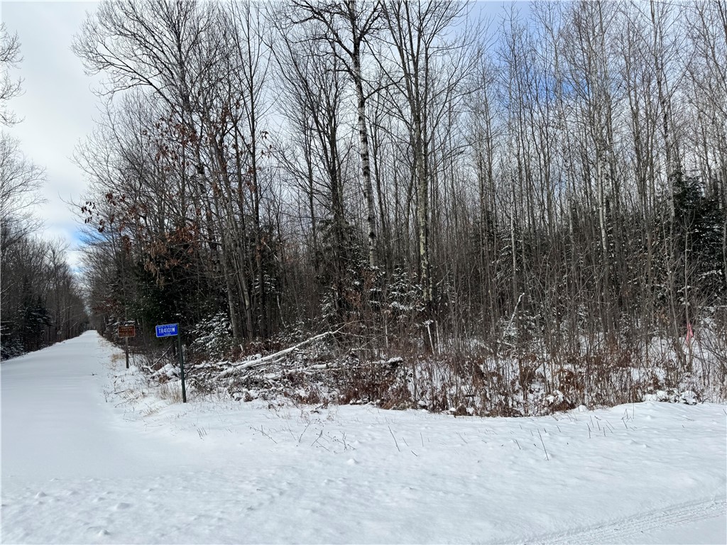 Lot 3 Uncle Toms Road Winter, WI 54896 - Photo 2 of 5