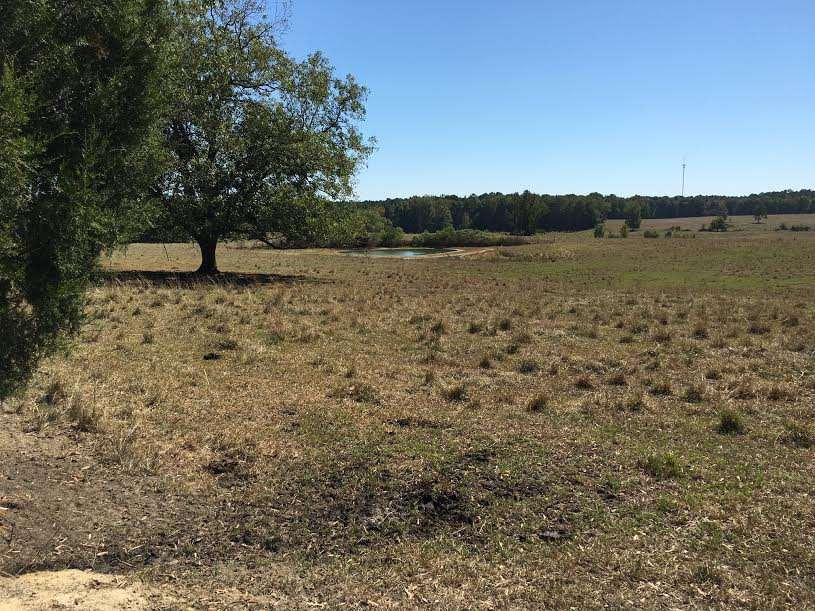 2191 Red Dog Road Carthage, MS 39051 - Photo 38 of 47 Photo 39