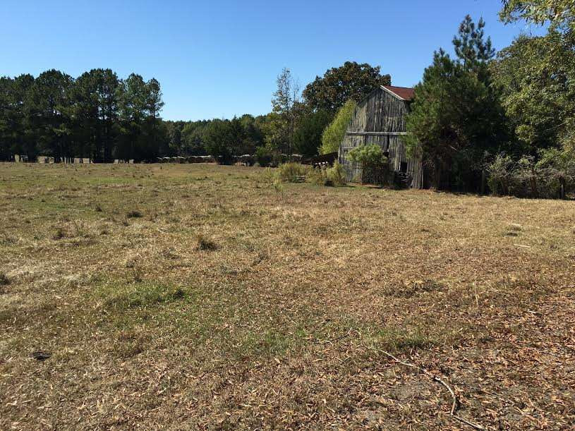 2191 Red Dog Road Carthage, MS 39051 - Photo 40 of 47 Photo 41