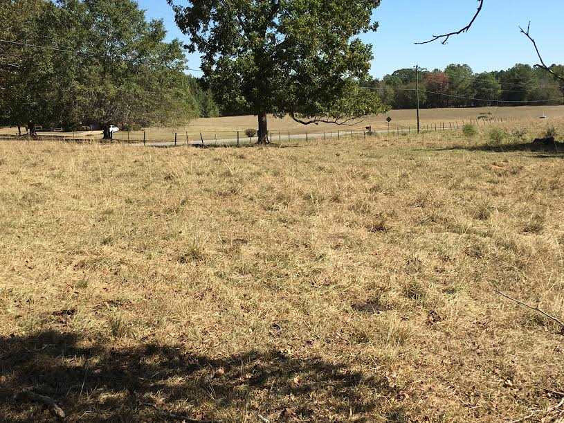 2191 Red Dog Road Carthage, MS 39051 - Photo 44 of 47 Photo 45