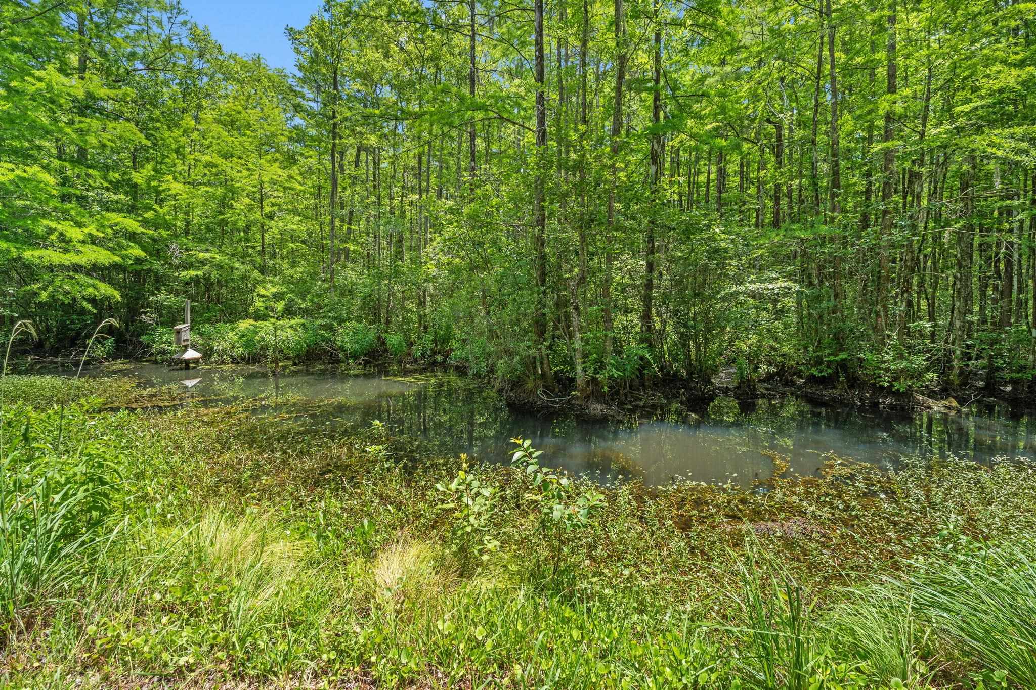 78 Sandpiper Lane Georgetown, SC 29440 - Photo 30 of 30
