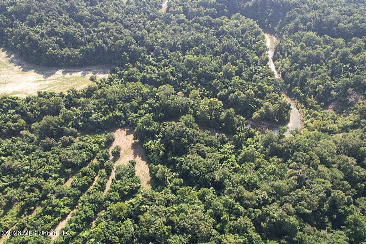 Annas Bottom Road Natchez, MS 39120 - Photo 6 of 48 DJI_0393 Large