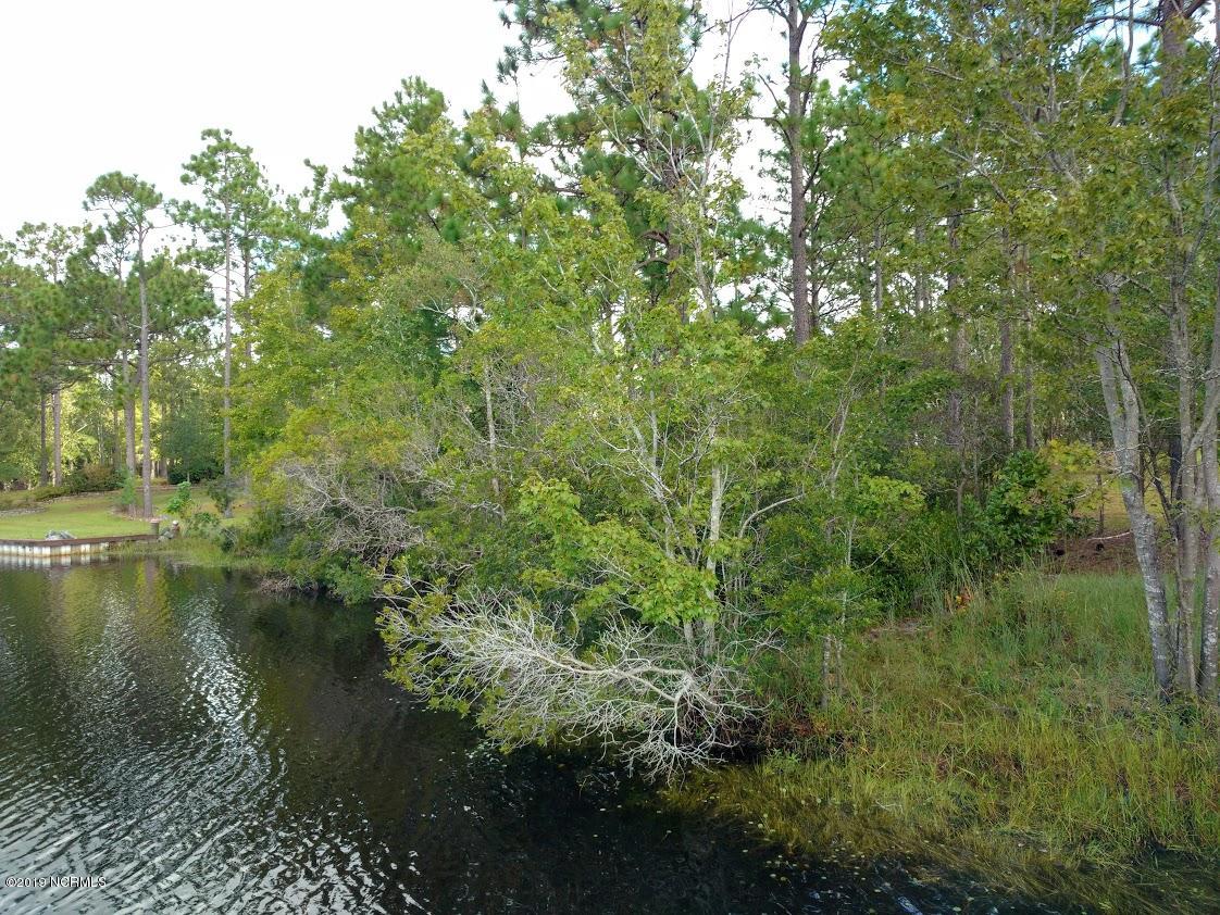 231 Ash Road Southport, NC 28461 - Photo 1 of 17 View from Lake