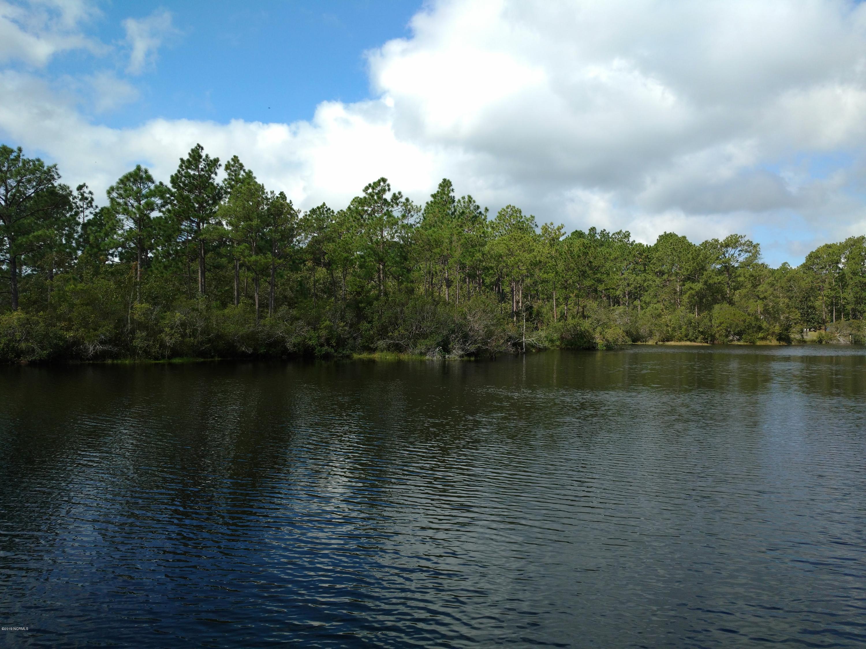 231 Ash Road Southport, NC 28461 - Photo 2 of 17 View of Lake