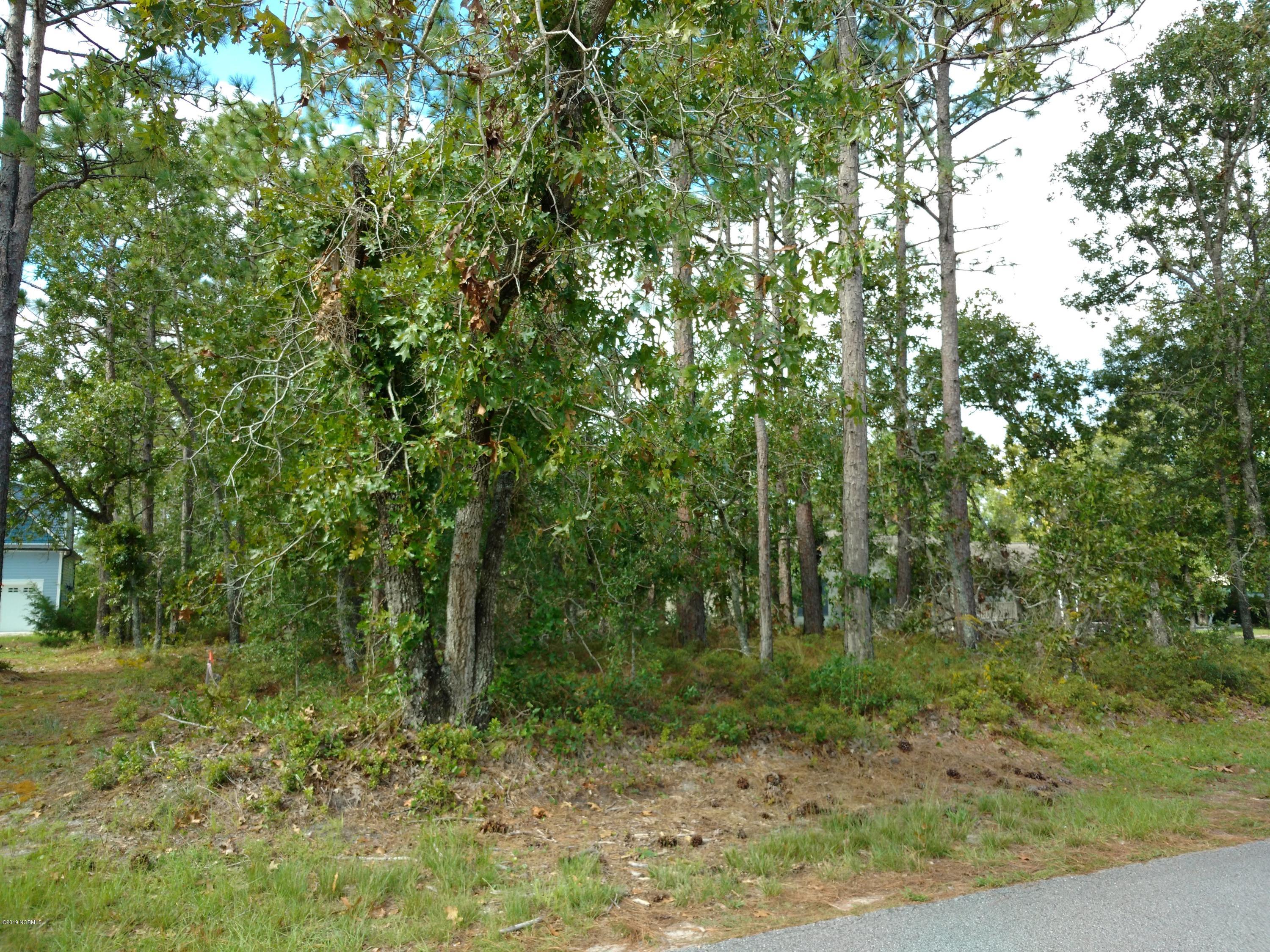231 Ash Road Southport, NC 28461 - Photo 4 of 17 Street view