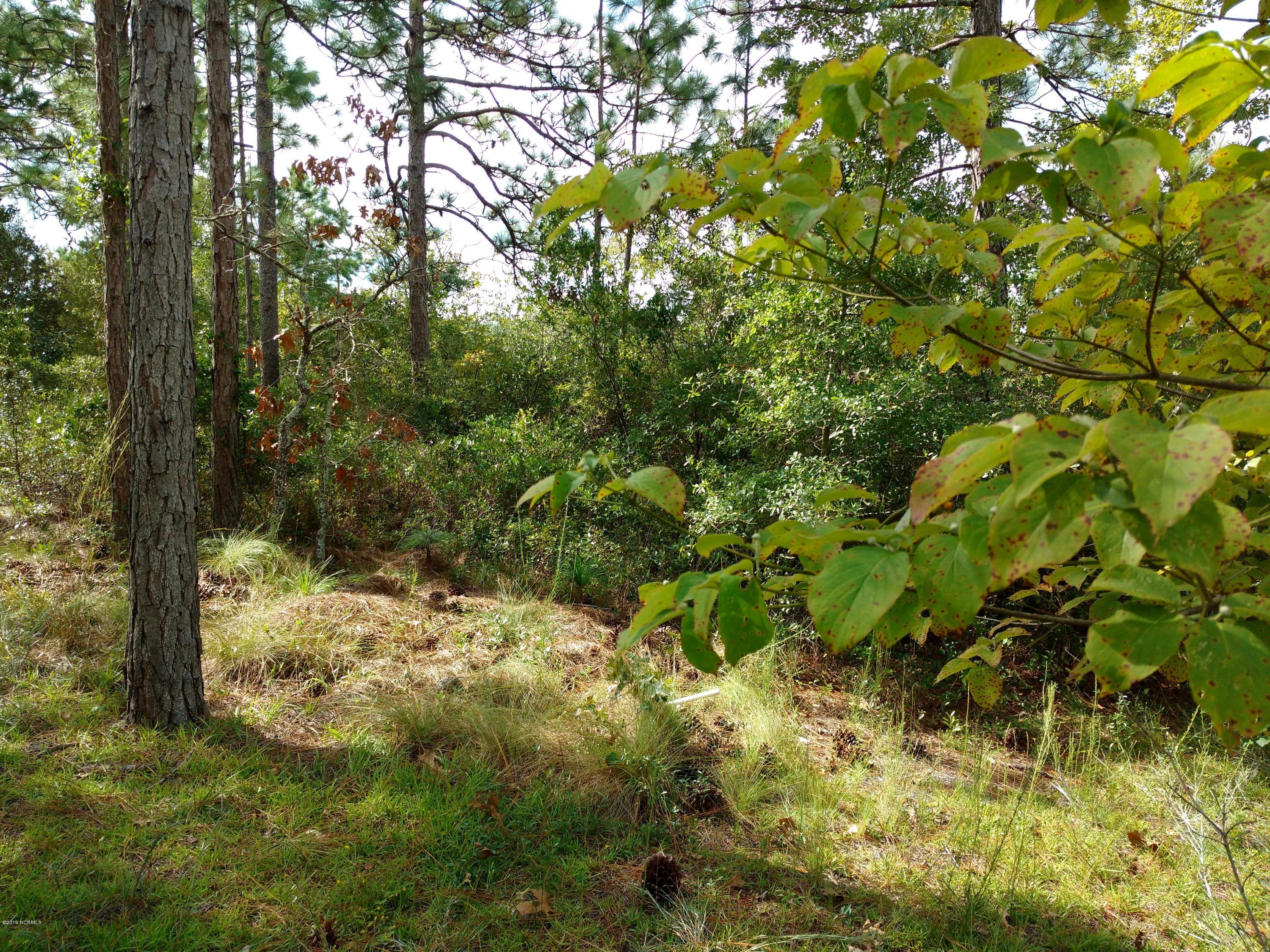 231 Ash Road Southport, NC 28461 - Photo 6 of 17 lot at water