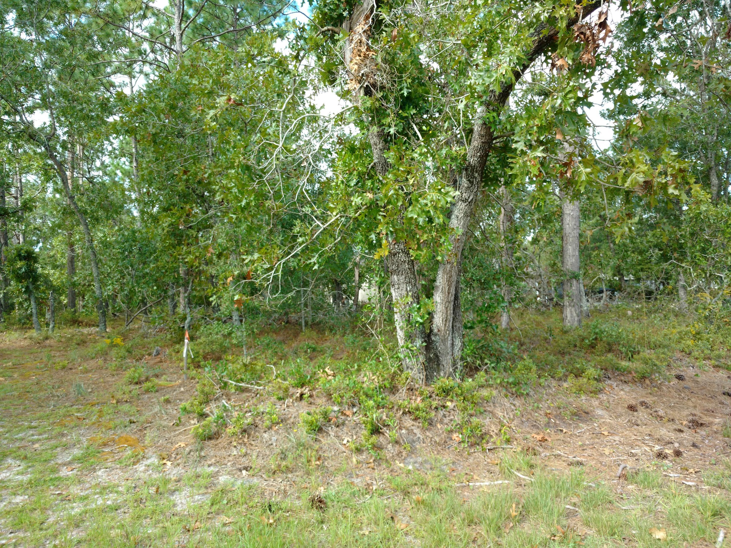 231 Ash Road Southport, NC 28461 - Photo 9 of 17 lot