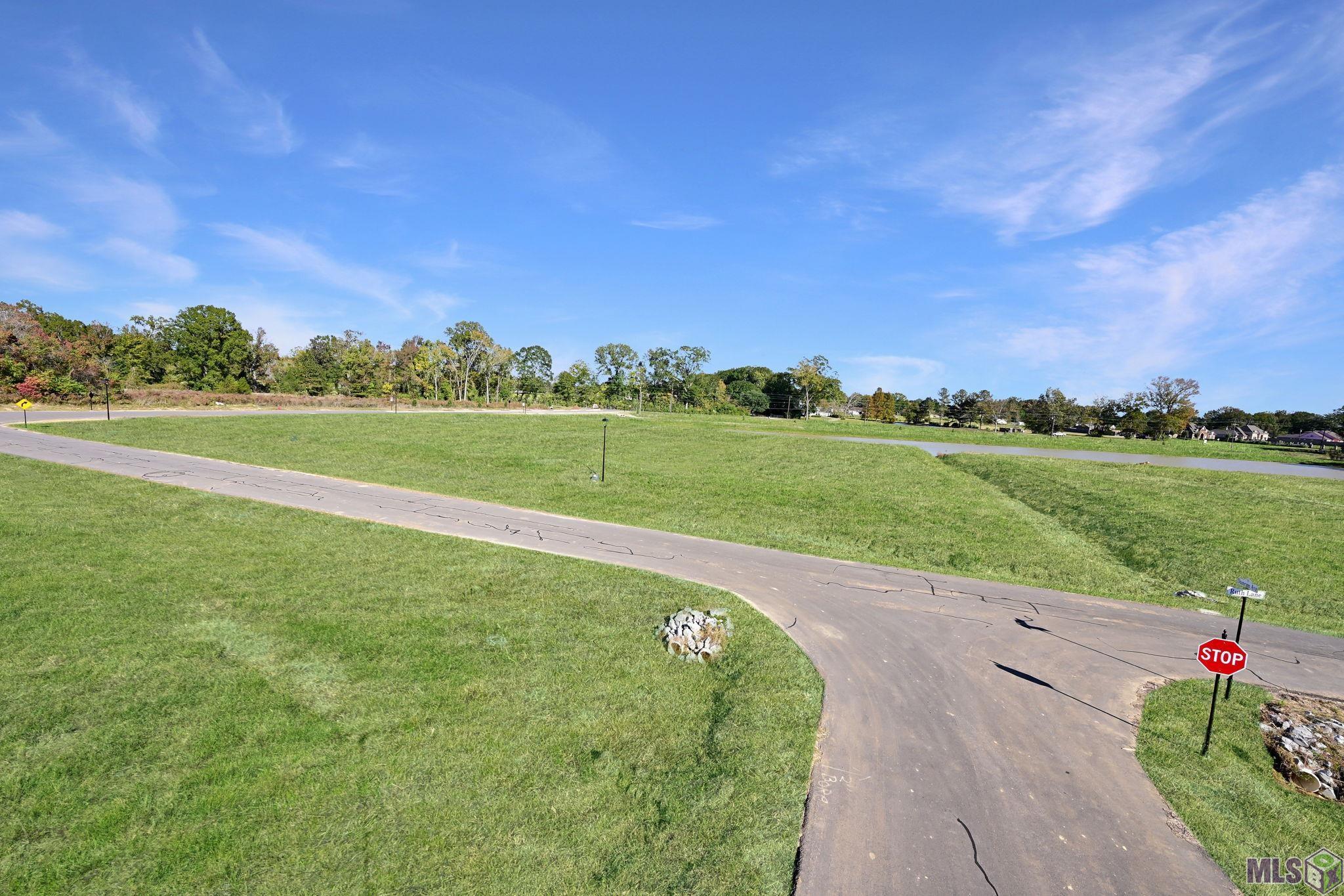 Lot 9 Ruth Avenue Jackson, LA 70748 - Photo 3 of 13