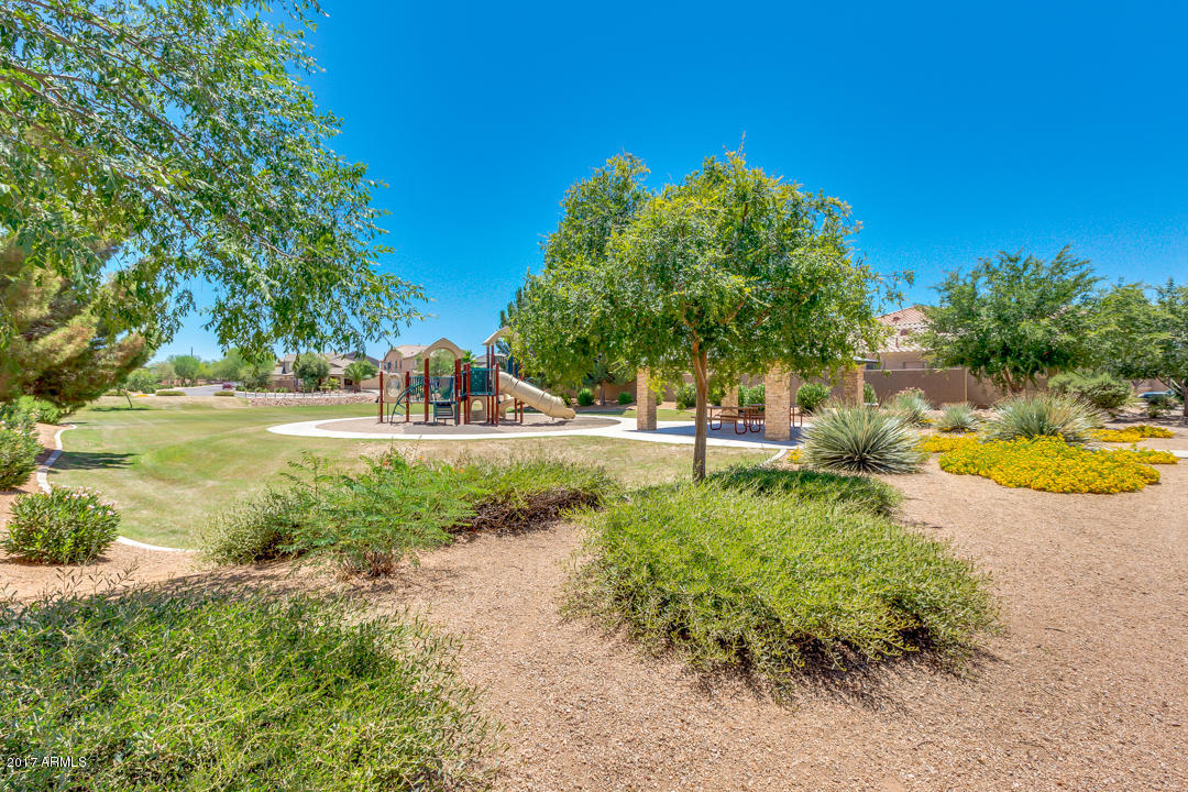 1245 West Gascon Road San Tan Valley, AZ 85143 - Photo 42 of 45 Park