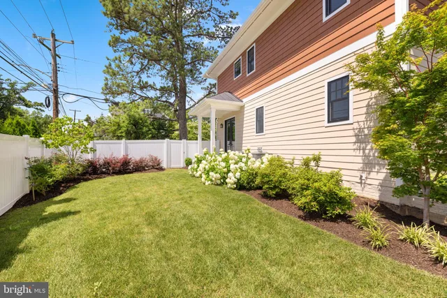 a view of a backyard with plants and large trees
